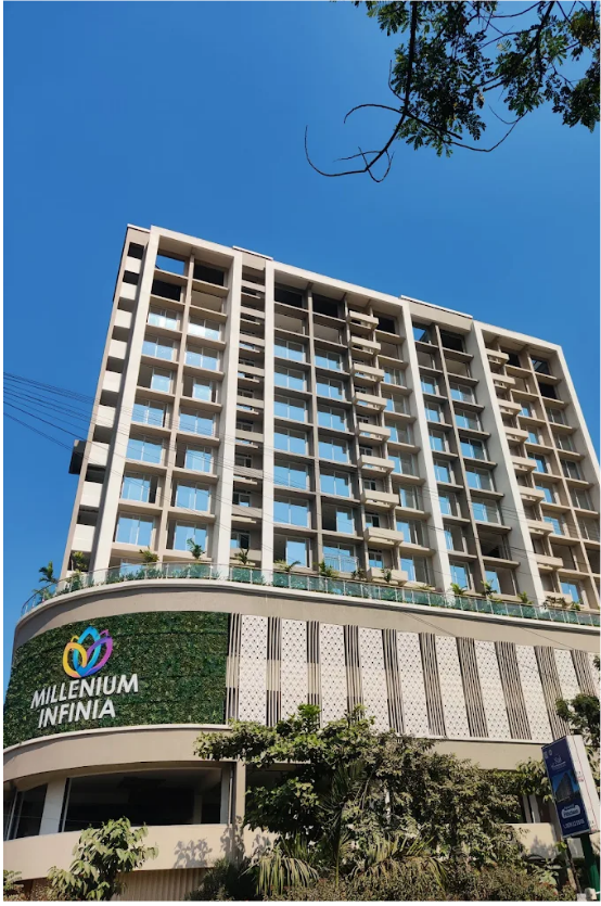 projects for milanor for website